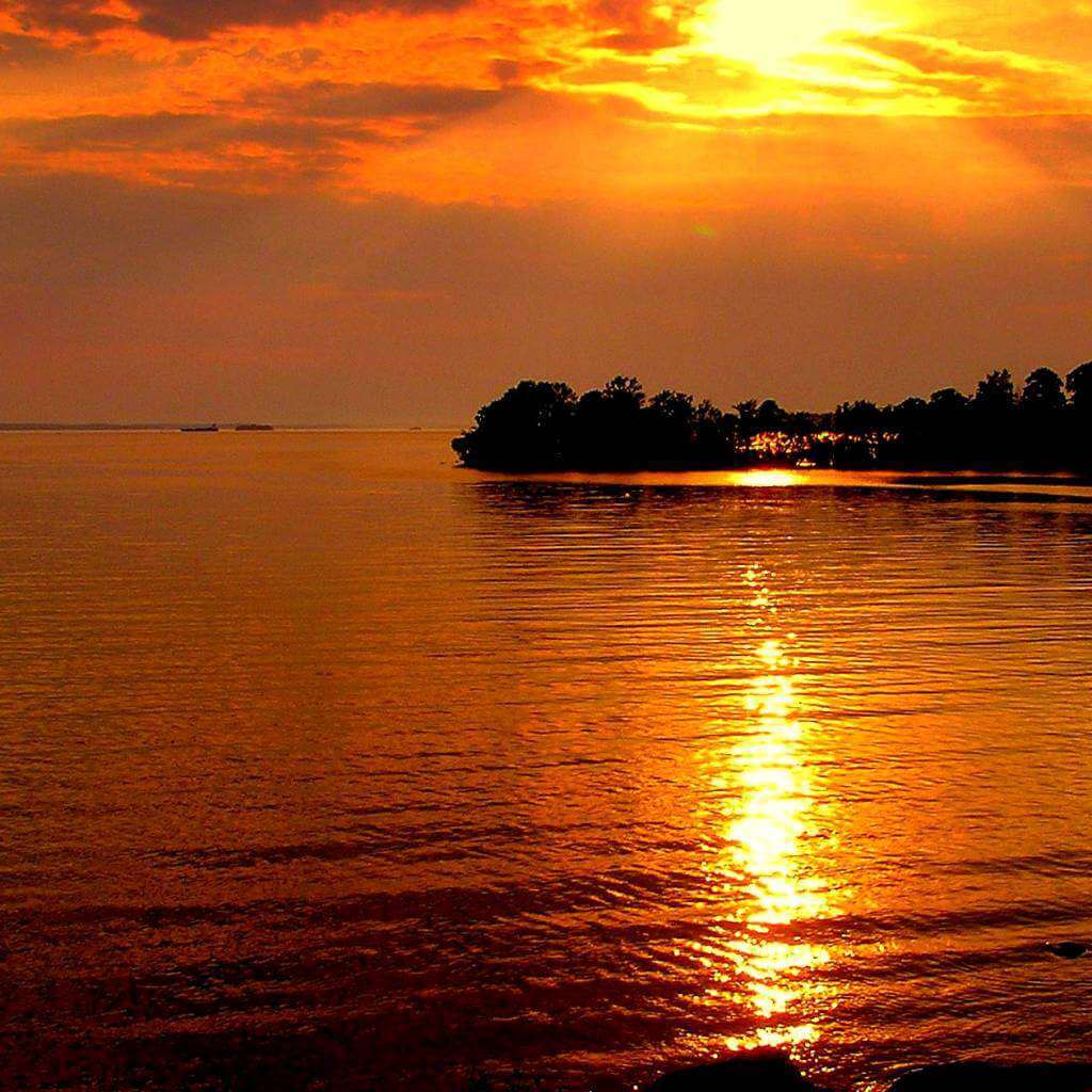 Relief Sun : Scream Probiotics 50ml